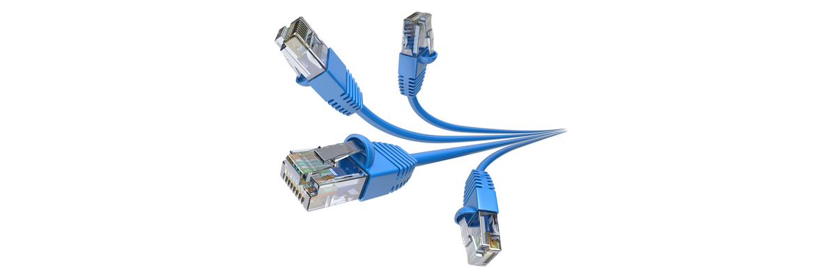 LAN